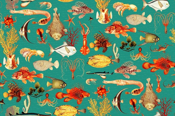 Oceania Charm Ensemble