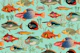 Aquatic Oceania Dreams Ensemble