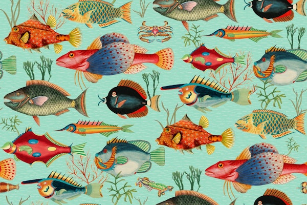 Aquatic Oceania Dreams Ensemble