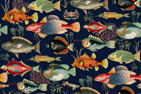 Enchanted Oceania Escape