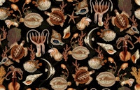 Oceania Marine Life Wonders carta da parati