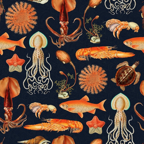 Oceania Marine Life Majesty