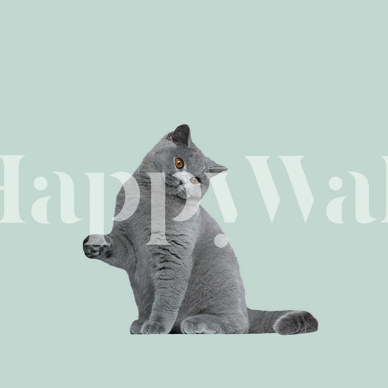 Gray cat on mint background, whimsical wallpaper