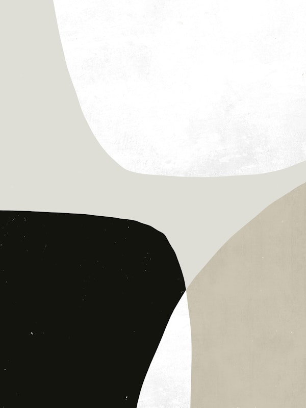 Monochrome Elegance Art