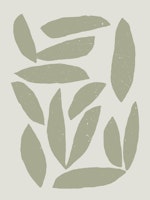 Sage Foliage Chic papiers peint