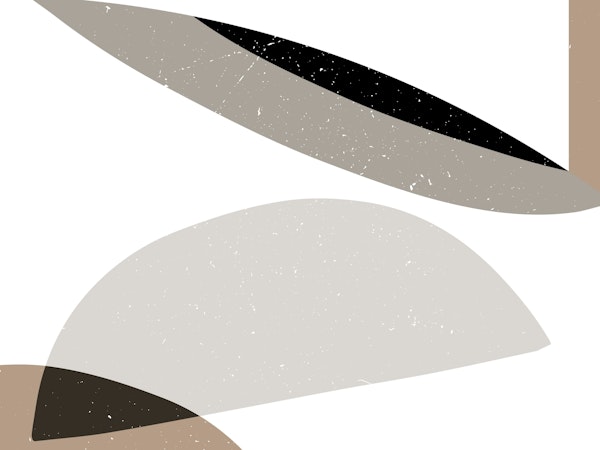 Neutral Shade Fusion