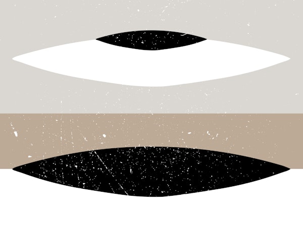 Minimalist Vision Chic