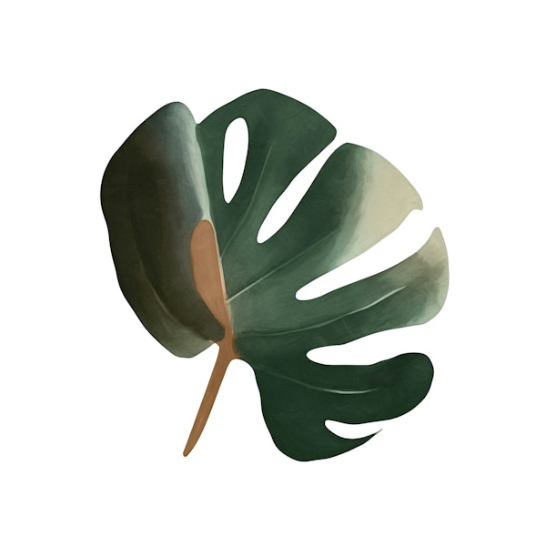 Chic Monstera Essence