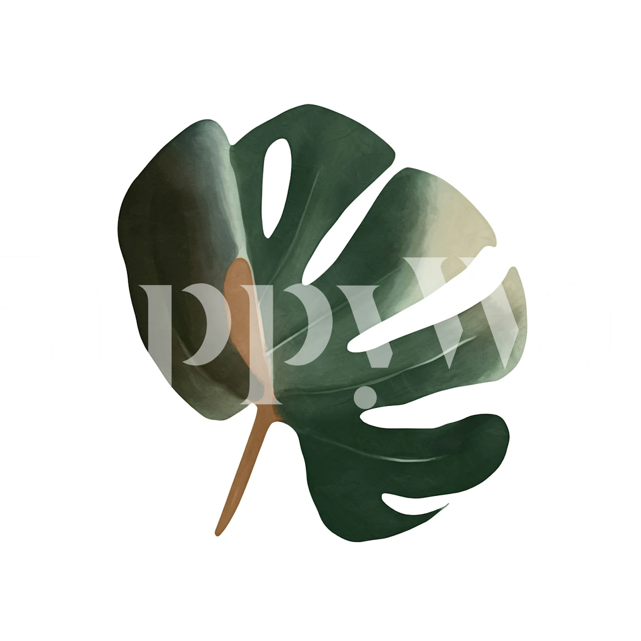 Tropical Monstera leaf in green tones wallpaper