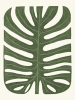 Monstera Leaf Enchantment behang