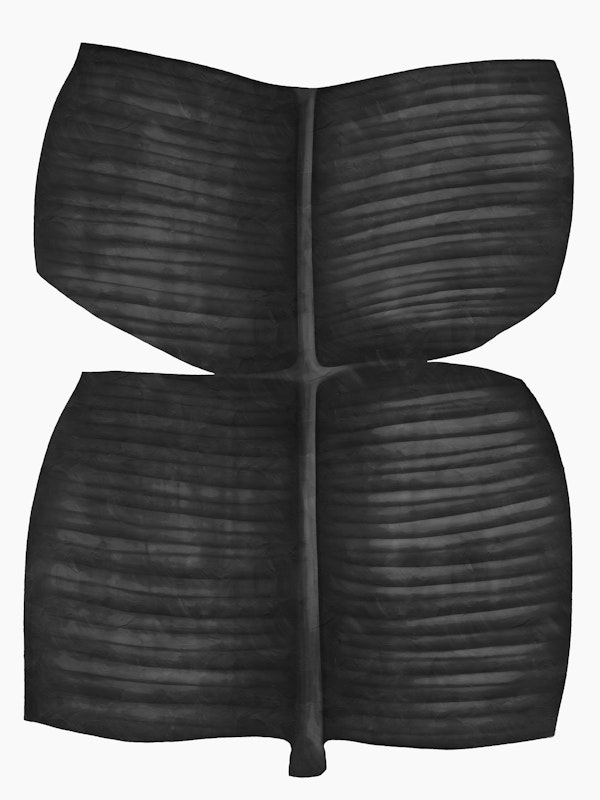 Elegant Plant Impressions