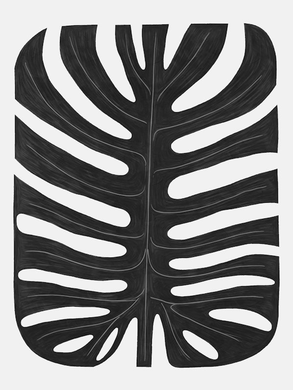 Swirling Monstera Leaf