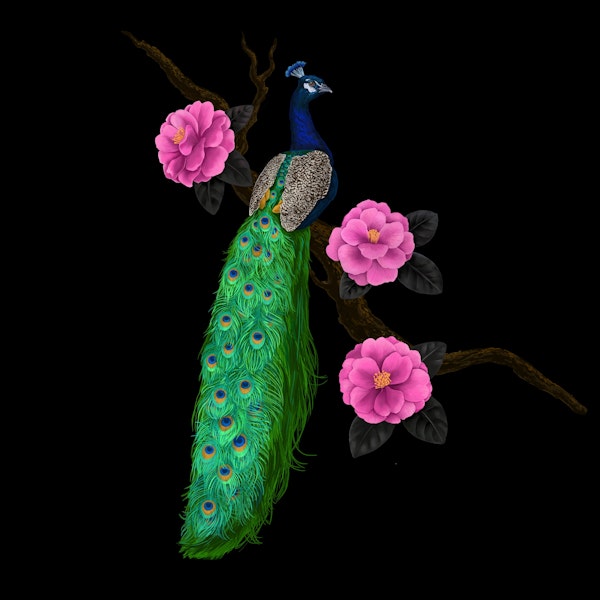 The peacock and camellia