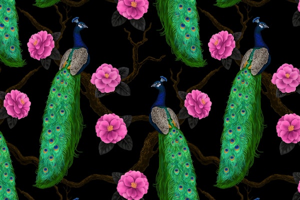 Night peacock garden