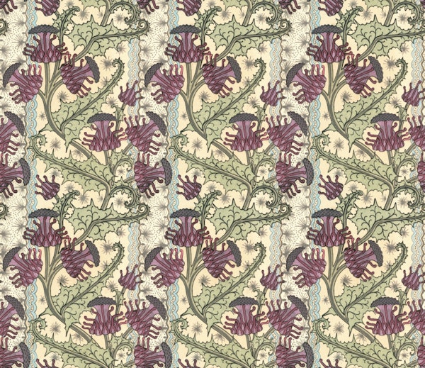 Maurice Pillard Verneuil Thistle 1