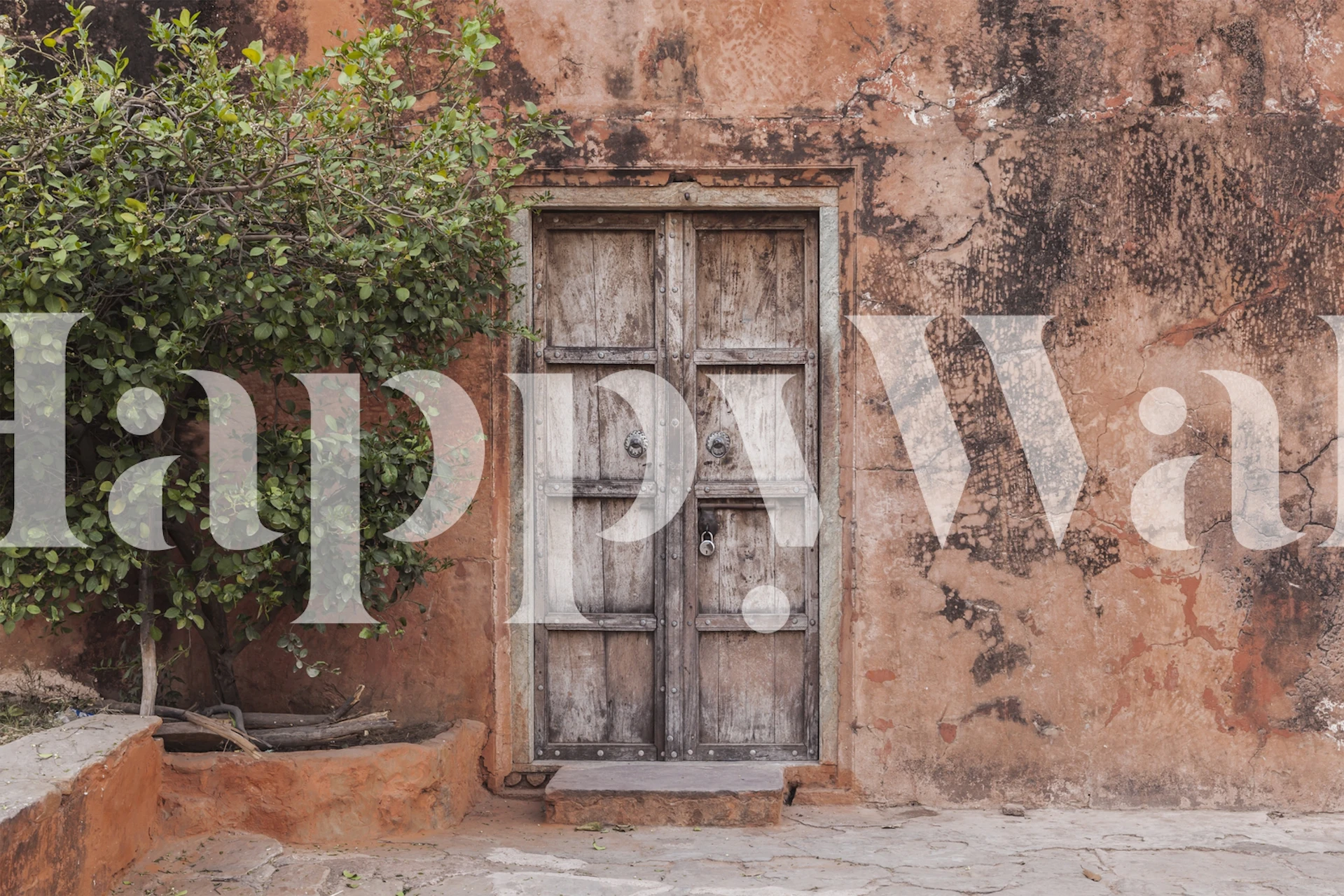 Rustic wooden door against a textured earthy wall wallpaper