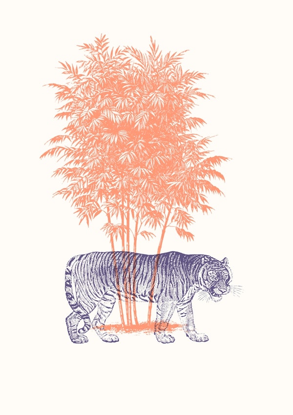 Tiger and Palm #1