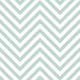 Mint Chevron Chic