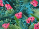 Tropical Hibiscus Flower 1