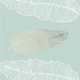 Elegant Leaf Veins