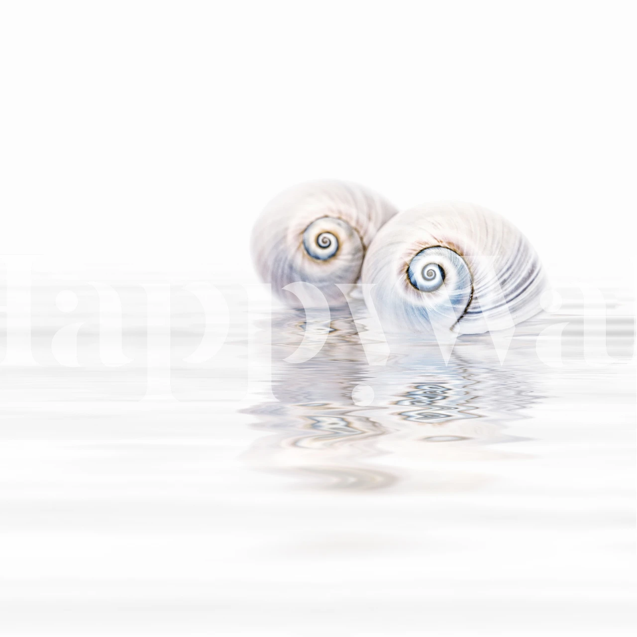 Tapeta s Snail Shells On Water