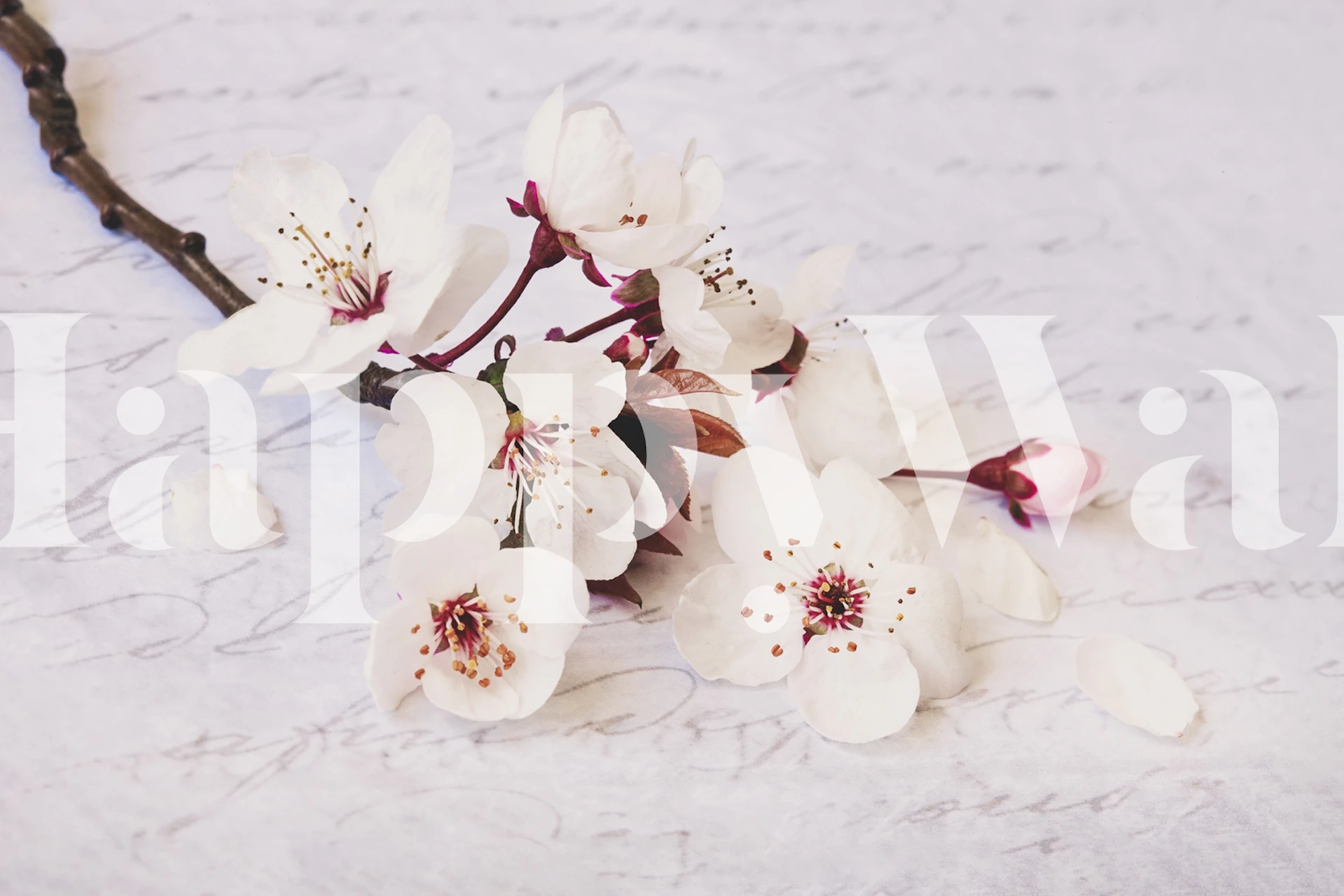 Nostalgic Cherryblossom carta da parati in una stanza