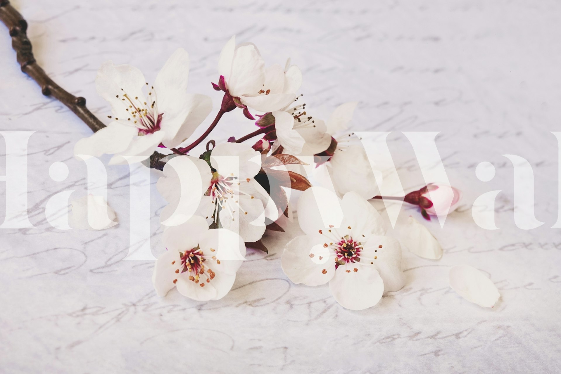 Nostalgic Cherryblossom Tapete in einem Zimmer