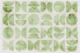 Retro Sage Geometry