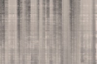 Japan Silk Grey Beige carta da parati