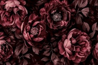 Midnight Garden Baroque Flora Crimson Red ταπετσαρία