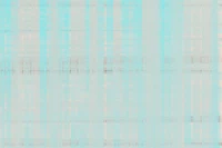 Silky Teal Blue Silk tapet