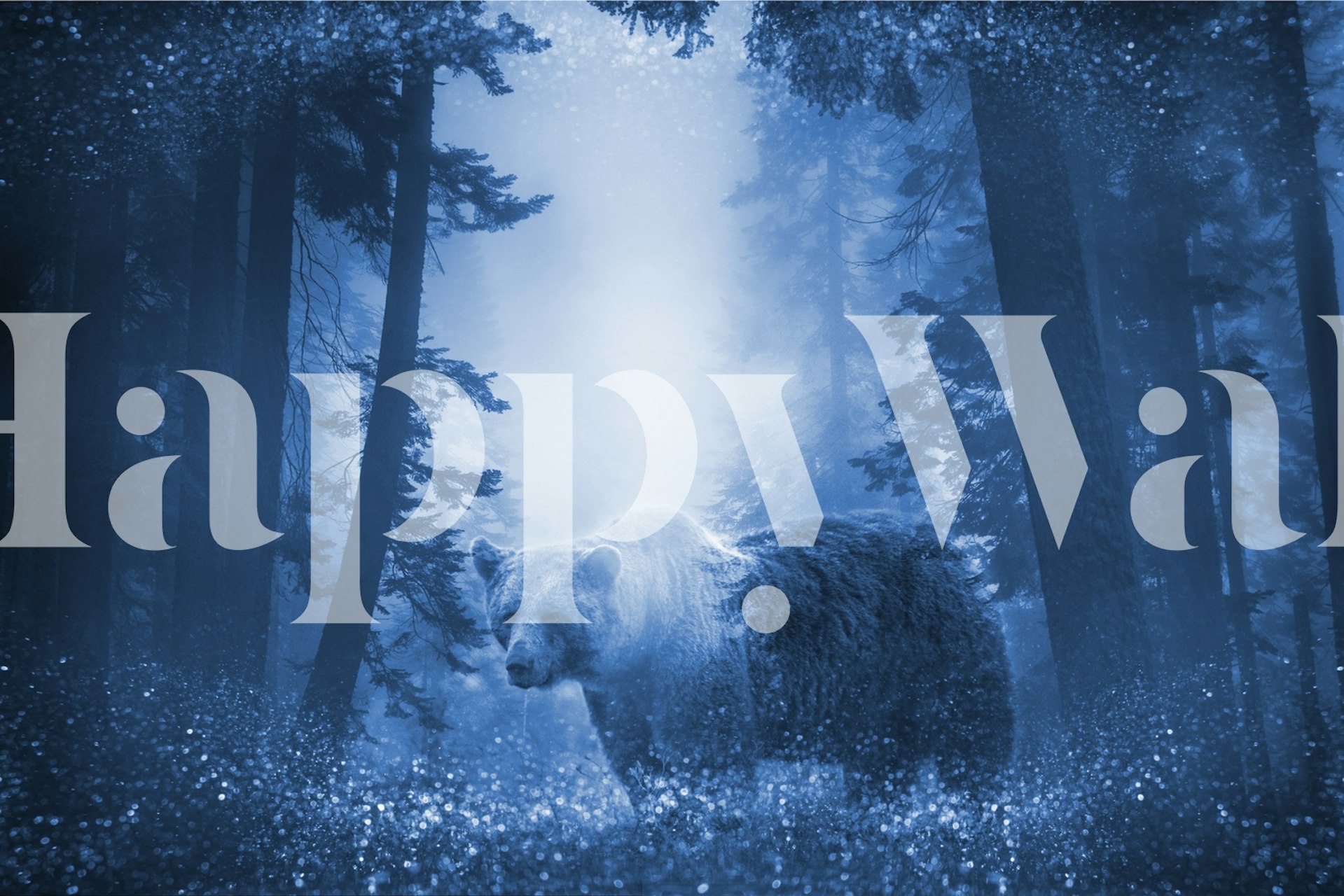 Bear Mystic Wood Tapete in einem Raum angezeigt