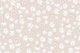 Rainbow Daisy Dream 3