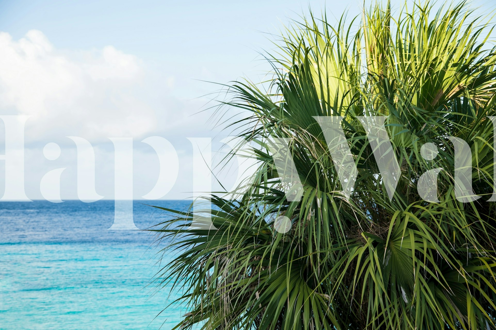 Tropical palm leaves against a blue sea and sky wallpaper