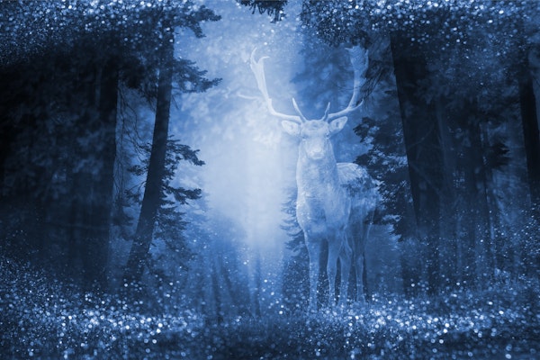 Deer Mystic Wood