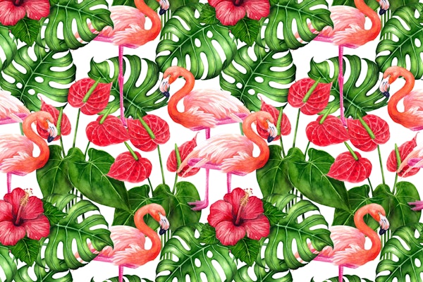Flamingo and tropical garden 3