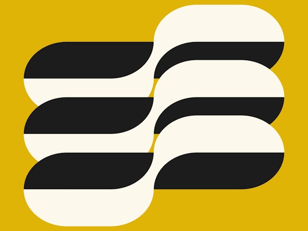 Monochrome Curves Decor