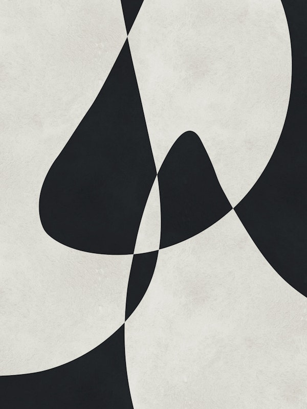 Monochrome Abstract Curves