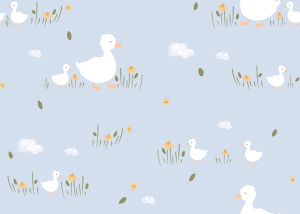 Baby Duckling Fields