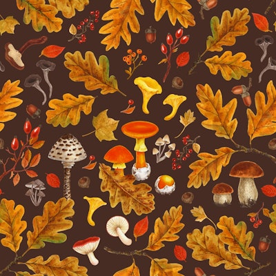 Pattern