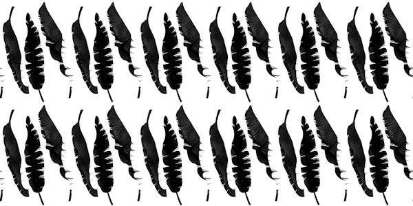 Monochrome Feather Array