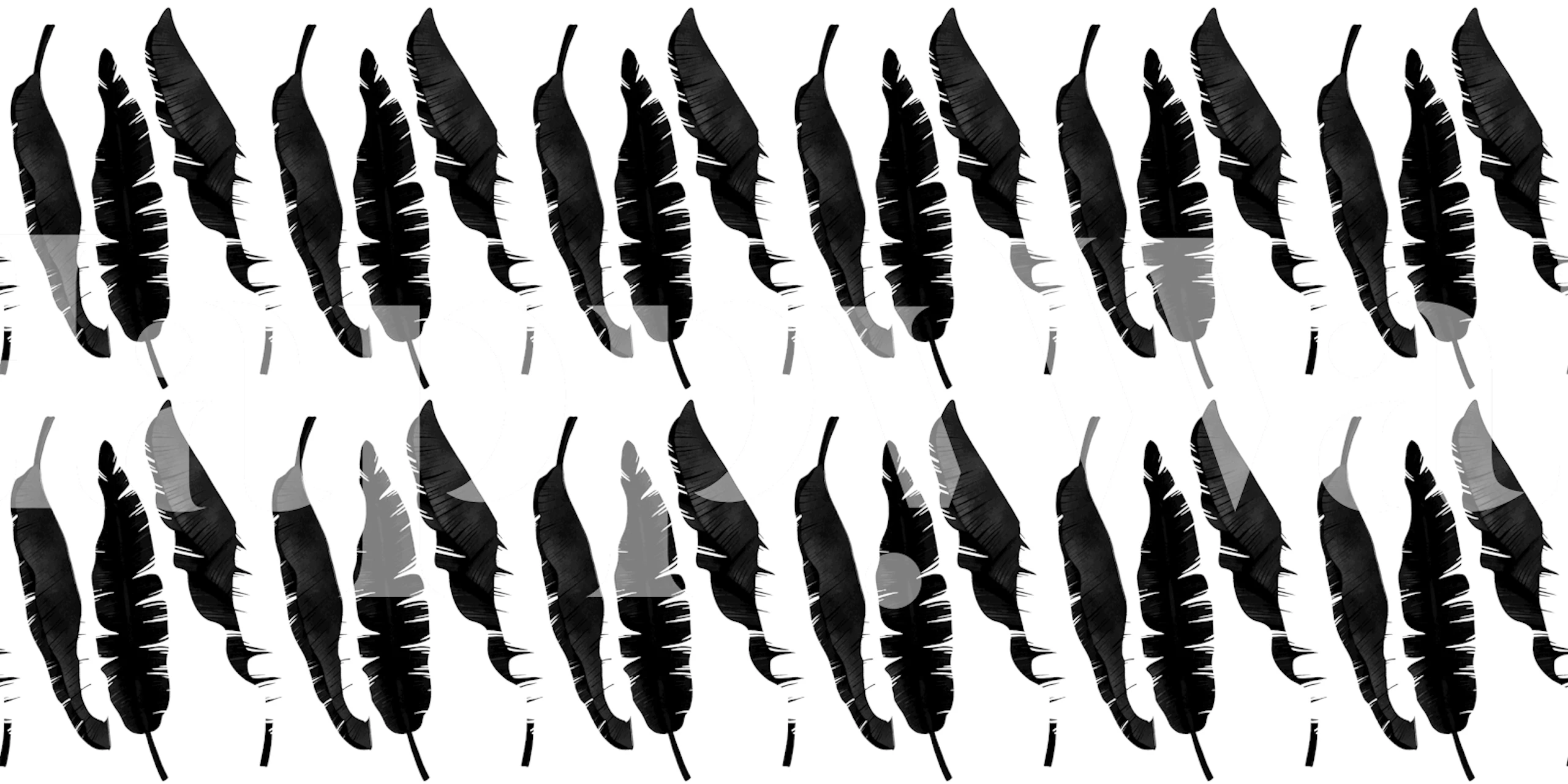 Monochrome feather wallpaper displayed in a room