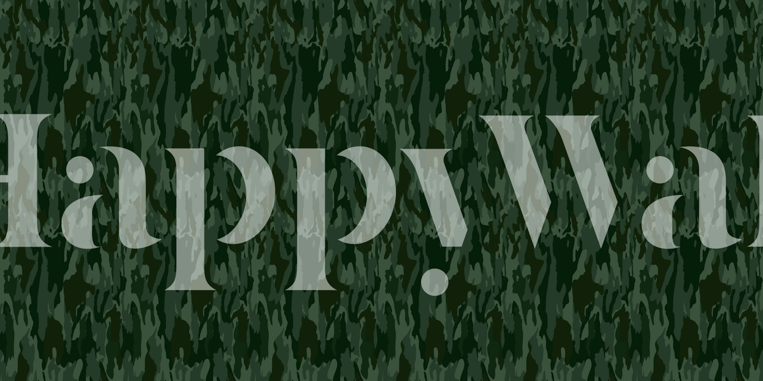 Mystic Forest Hues wallpaper in a room