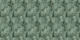 Emerald Fern Haven