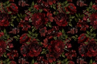 Midnight Baroque Ruby Botanica wallpaper
