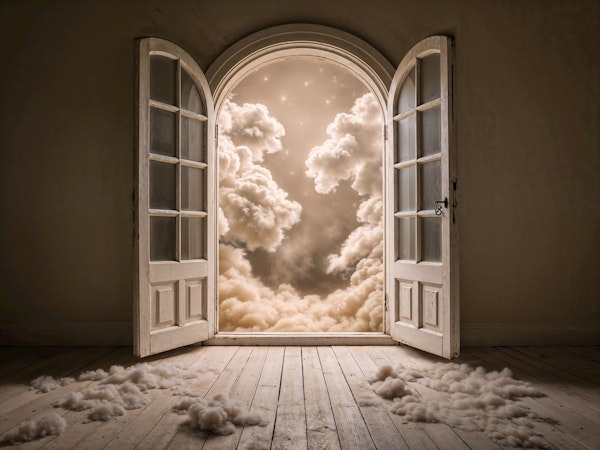 Door To My Dreams & Universe