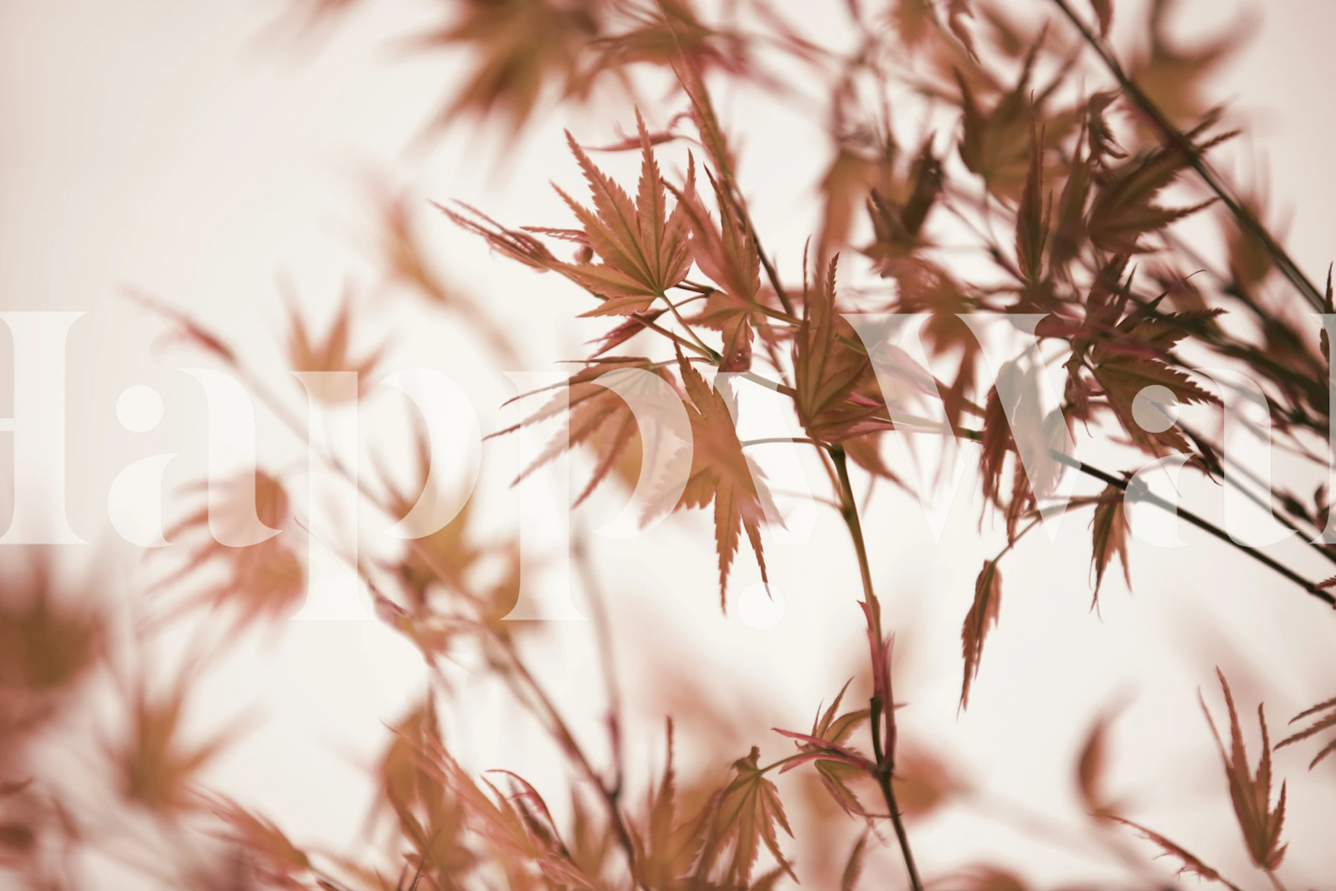 Autumn Whisper Branches behang in een kamer