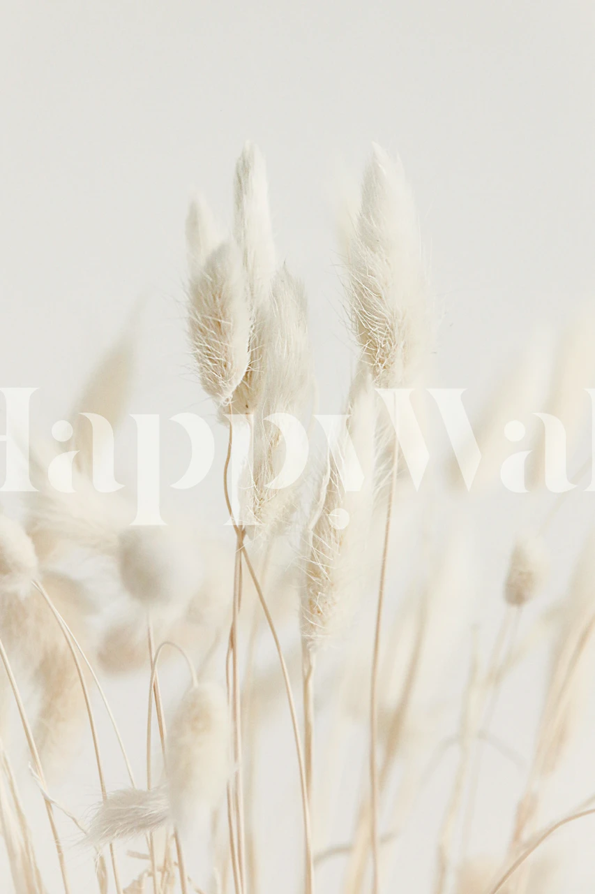 Plush Grass Breeze Lagurus tapet i ett rum