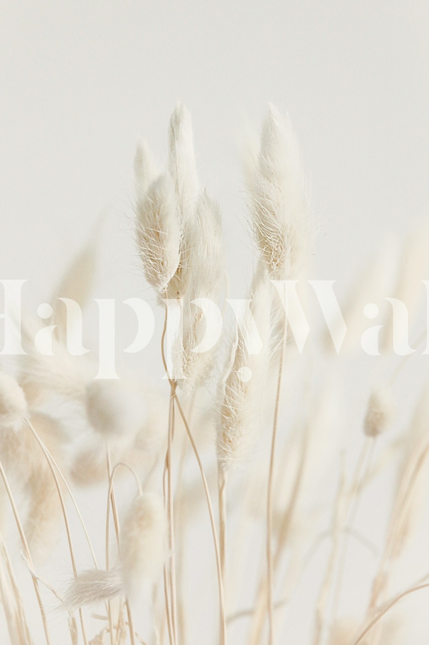 Plush Grass Breeze Lagurus tapetti huoneessa