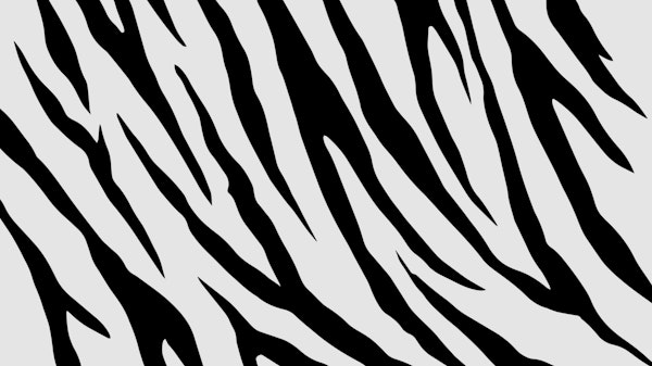 Monochrome Safari Vibes